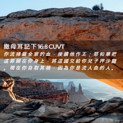 Picture 02 - 撒 母 耳 記 下 16:8 CUVT - 你 流 掃 羅 全 家 的 血 ， 接 續 他 - Bible Verse Picture