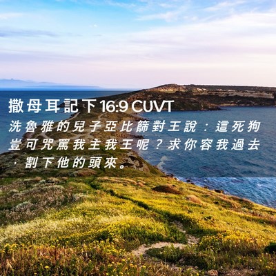 Picture 02 - 撒 母 耳 記 下 16:9 CUVT - 洗 魯 雅 的 兒 子 亞 比 篩 對 王 說 - Bible Verse Picture