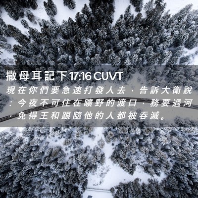 Picture 02 - 撒 母 耳 記 下 17:16 CUVT - 現 在 你 們 要 急 速 打 發 人 去 ， - Bible Verse Picture