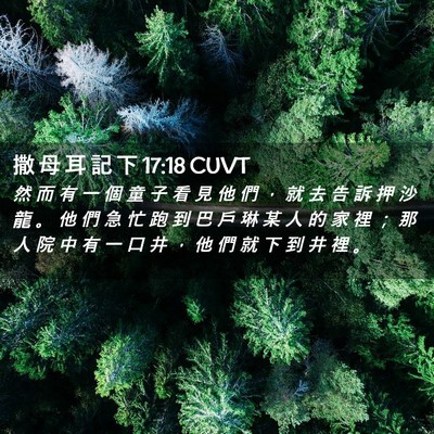Picture 02 - 撒 母 耳 記 下 17:18 CUVT - 然 而 有 一 個 童 子 看 見 他 們 ， - Bible Verse Picture