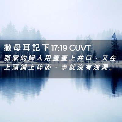 Picture 02 - 撒 母 耳 記 下 17:19 CUVT - 那 家 的 婦 人 用 蓋 蓋 上 井 口 ， - Bible Verse Picture