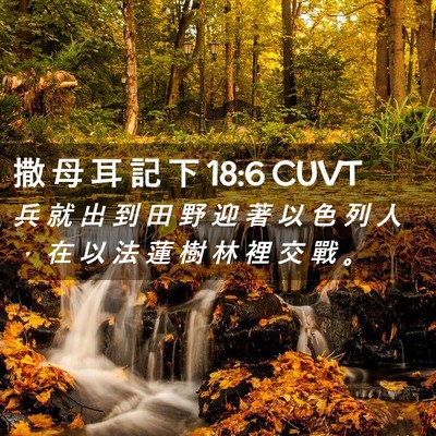 Picture 02 - 撒 母 耳 記 下 18:6 CUVT - 兵 就 出 到 田 野 迎 著 以 色 列 人 - Bible Verse Picture
