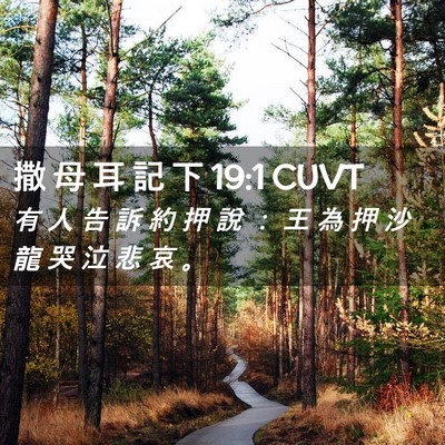 Picture 02 - 撒 母 耳 記 下 19:1 CUVT - 有 人 告 訴 約 押 說 ： 王 為 押 沙 - Bible Verse Picture