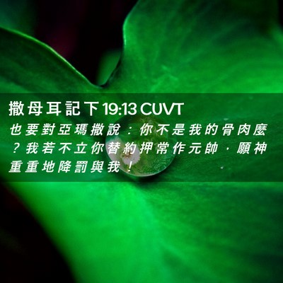 Picture 02 - 撒 母 耳 記 下 19:13 CUVT - 也 要 對 亞 瑪 撒 說 ： 你 不 是 我 - Bible Verse Picture