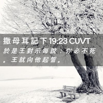 Picture 02 - 撒 母 耳 記 下 19:23 CUVT - 於 是 王 對 示 每 說 ： 你 必 不 死 - Bible Verse Picture