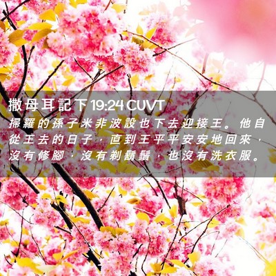 Picture 02 - 撒 母 耳 記 下 19:24 CUVT - 掃 羅 的 孫 子 米 非 波 設 也 下 去 - Bible Verse Picture