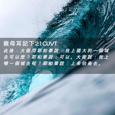 Picture 02 - 撒 母 耳 記 下 2:1 CUVT - 此 後 ， 大 衛 問 耶 和 華 說 ： 我 - Bible Verse Picture
