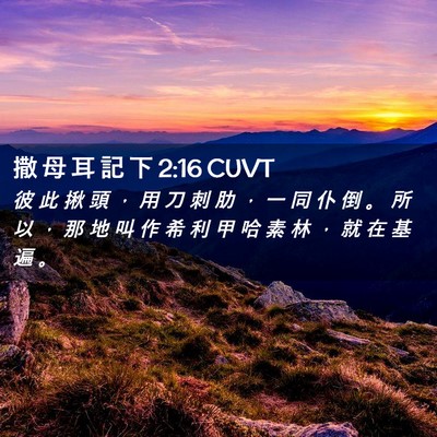 Picture 02 - 撒 母 耳 記 下 2:16 CUVT - 彼 此 揪 頭 ， 用 刀 刺 肋 ， 一 同 - Bible Verse Picture
