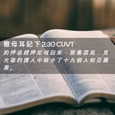 Picture 02 - 撒 母 耳 記 下 2:30 CUVT - 約 押 追 趕 押 尼 珥 回 來 ， 聚 集 - Bible Verse Picture