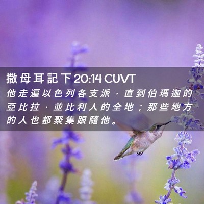 Picture 02 - 撒 母 耳 記 下 20:14 CUVT - 他 走 遍 以 色 列 各 支 派 ， 直 到 - Bible Verse Picture