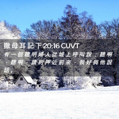 Picture 02 - 撒 母 耳 記 下 20:16 CUVT - 有 一 個 聰 明 婦 人 從 城 上 呼 叫 - Bible Verse Picture