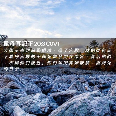 Picture 02 - 撒 母 耳 記 下 20:3 CUVT - 大 衛 王 來 到 耶 路 撒 冷 ， 進 了 - Bible Verse Picture