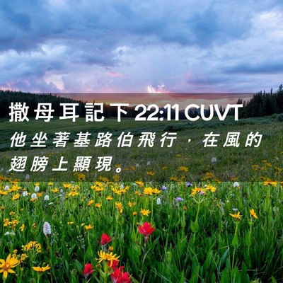 Picture 02 - 撒 母 耳 記 下 22:11 CUVT - 他 坐 著 基 路 伯 飛 行 ， 在 風 的 - Bible Verse Picture
