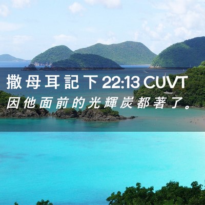 Picture 02 - 撒 母 耳 記 下 22:13 CUVT - 因 他 面 前 的 光 輝 炭 都 著 了 - Bible Verse Picture