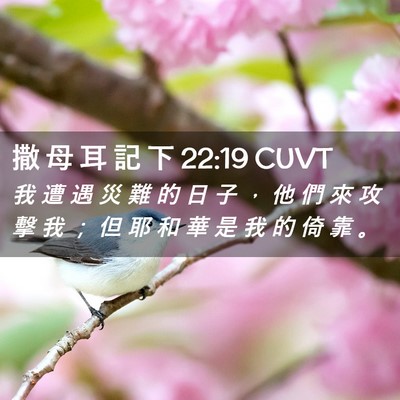 Picture 02 - 撒 母 耳 記 下 22:19 CUVT - 我 遭 遇 災 難 的 日 子 ， 他 們 來 - Bible Verse Picture