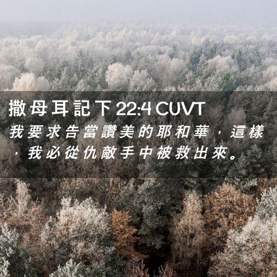 Picture 02 - 撒 母 耳 記 下 22:4 CUVT - 我 要 求 告 當 讚 美 的 耶 和 華 ， - Bible Verse Picture