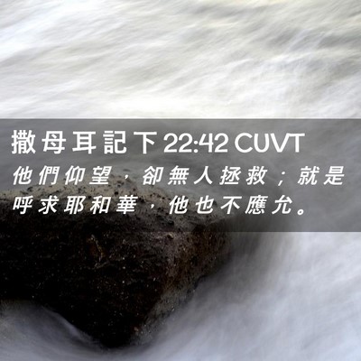 Picture 02 - 撒 母 耳 記 下 22:42 CUVT - 他 們 仰 望 ， 卻 無 人 拯 救 ； 就 - Bible Verse Picture