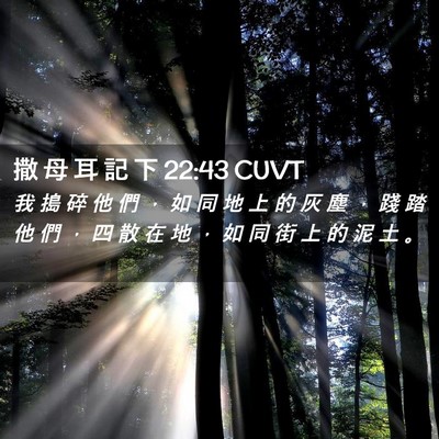 Picture 02 - 撒 母 耳 記 下 22:43 CUVT - 我 搗 碎 他 們 ， 如 同 地 上 的 灰 - Bible Verse Picture
