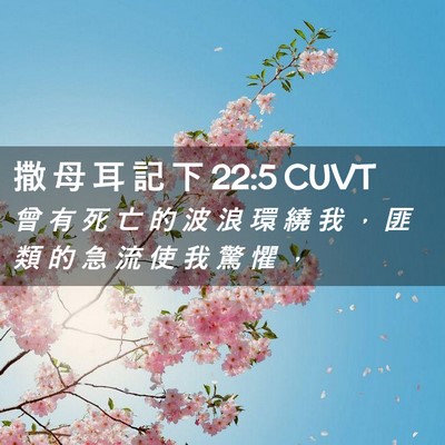 Picture 02 - 撒 母 耳 記 下 22:5 CUVT - 曾 有 死 亡 的 波 浪 環 繞 我 ， 匪 - Bible Verse Picture