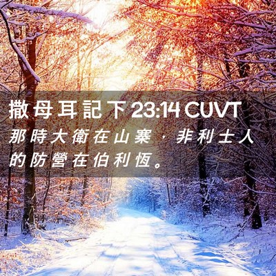 Picture 02 - 撒 母 耳 記 下 23:14 CUVT - 那 時 大 衛 在 山 寨 ， 非 利 士 人 - Bible Verse Picture