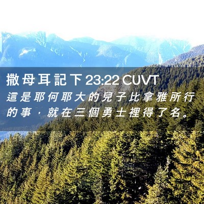 Picture 02 - 撒 母 耳 記 下 23:22 CUVT - 這 是 耶 何 耶 大 的 兒 子 比 拿 雅 - Bible Verse Picture