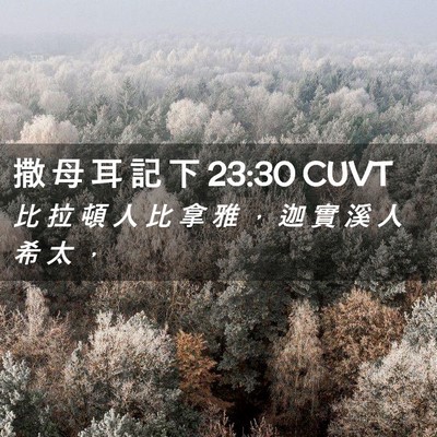 Picture 02 - 撒 母 耳 記 下 23:30 CUVT - 比 拉 頓 人 比 拿 雅 ， 迦 實 溪 人 - Bible Verse Picture