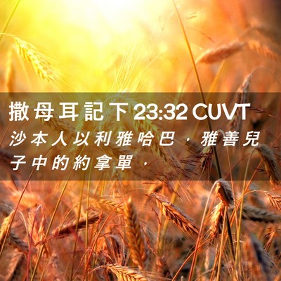 Picture 02 - 撒 母 耳 記 下 23:32 CUVT - 沙 本 人 以 利 雅 哈 巴 ， 雅 善 兒 - Bible Verse Picture
