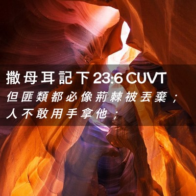 Picture 02 - 撒 母 耳 記 下 23:6 CUVT - 但 匪 類 都 必 像 荊 棘 被 丟 棄 ； - Bible Verse Picture