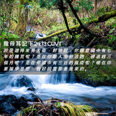 Picture 02 - 撒 母 耳 記 下 24:13 CUVT - 於 是 迦 得 來 見 大 衛 ， 對 他 說 - Bible Verse Picture