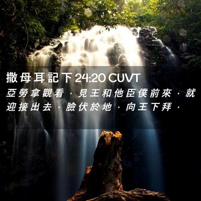 Picture 02 - 撒 母 耳 記 下 24:20 CUVT - 亞 勞 拿 觀 看 ， 見 王 和 他 臣 僕 - Bible Verse Picture