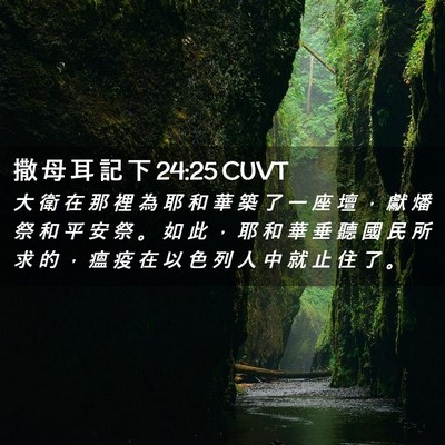Picture 02 - 撒 母 耳 記 下 24:25 CUVT - 大 衛 在 那 裡 為 耶 和 華 築 了 一 - Bible Verse Picture