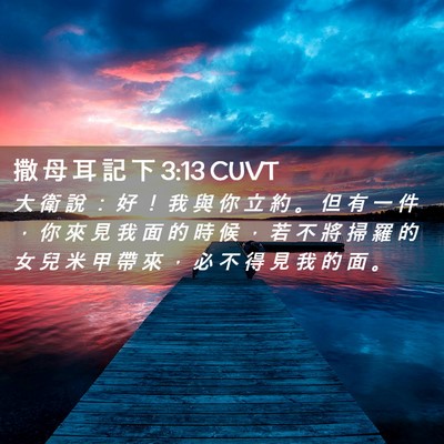 Picture 02 - 撒 母 耳 記 下 3:13 CUVT - 大 衛 說 ： 好 ！ 我 與 你 立 約 。 - Bible Verse Picture