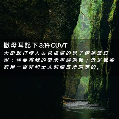 Picture 02 - 撒 母 耳 記 下 3:14 CUVT - 大 衛 就 打 發 人 去 見 掃 羅 的 兒 - Bible Verse Picture
