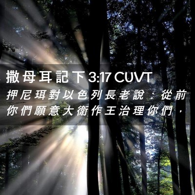 Picture 02 - 撒 母 耳 記 下 3:17 CUVT - 押 尼 珥 對 以 色 列 長 老 說 ： 從 - Bible Verse Picture