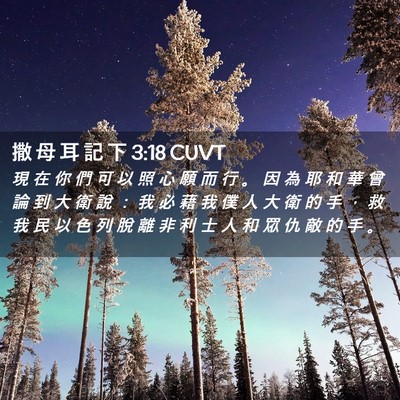 Picture 02 - 撒 母 耳 記 下 3:18 CUVT - 現 在 你 們 可 以 照 心 願 而 行 。 - Bible Verse Picture