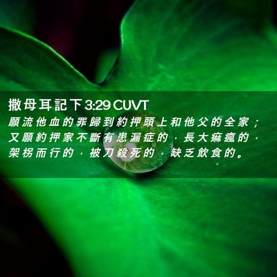 Picture 02 - 撒 母 耳 記 下 3:29 CUVT - 願 流 他 血 的 罪 歸 到 約 押 頭 上 - Bible Verse Picture