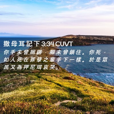 Picture 02 - 撒 母 耳 記 下 3:34 CUVT - 你 手 未 曾 捆 綁 ， 腳 未 曾 鎖 住 - Bible Verse Picture