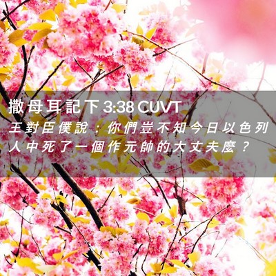 Picture 02 - 撒 母 耳 記 下 3:38 CUVT - 王 對 臣 僕 說 ： 你 們 豈 不 知 今 - Bible Verse Picture