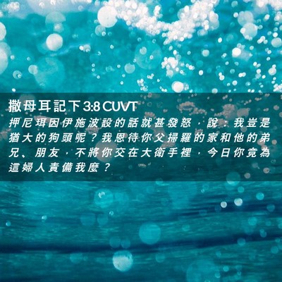 Picture 02 - 撒 母 耳 記 下 3:8 CUVT - 押 尼 珥 因 伊 施 波 設 的 話 就 甚 - Bible Verse Picture