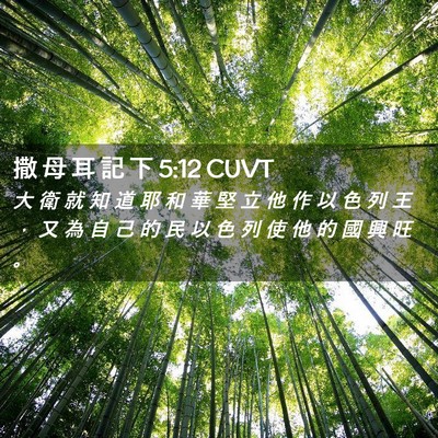Picture 02 - 撒 母 耳 記 下 5:12 CUVT - 大 衛 就 知 道 耶 和 華 堅 立 他 作 - Bible Verse Picture