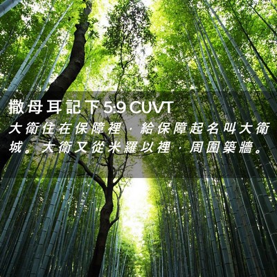 Picture 02 - 撒 母 耳 記 下 5:9 CUVT - 大 衛 住 在 保 障 裡 ， 給 保 障 起 - Bible Verse Picture
