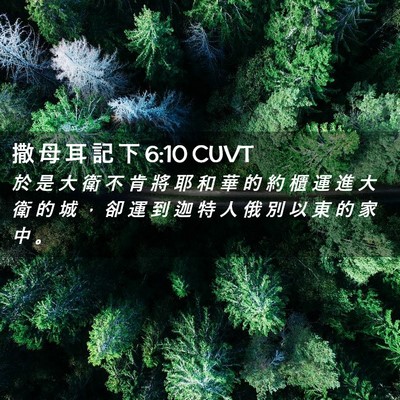 Picture 02 - 撒 母 耳 記 下 6:10 CUVT - 於 是 大 衛 不 肯 將 耶 和 華 的 約 - Bible Verse Picture