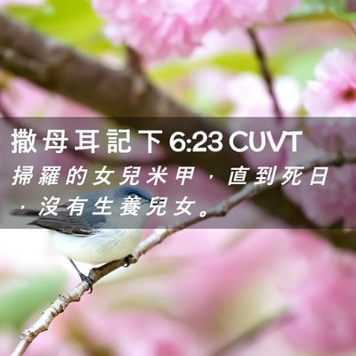 Picture 02 - 撒 母 耳 記 下 6:23 CUVT - 掃 羅 的 女 兒 米 甲 ， 直 到 死 日 - Bible Verse Picture