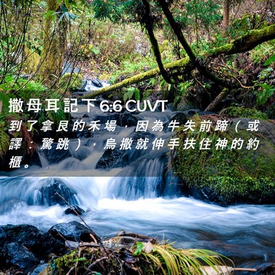 Picture 02 - 撒 母 耳 記 下 6:6 CUVT - 到 了 拿 艮 的 禾 場 ， 因 為 牛 失 - Bible Verse Picture