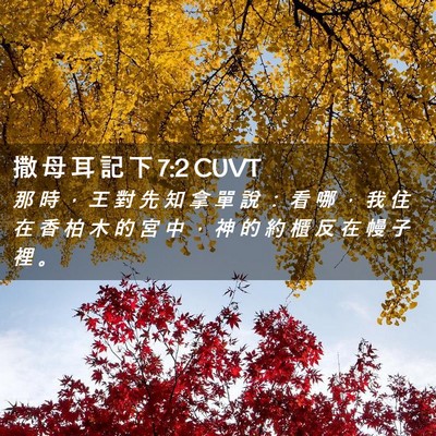 Picture 02 - 撒 母 耳 記 下 7:2 CUVT - 那 時 ， 王 對 先 知 拿 單 說 ： 看 - Bible Verse Picture