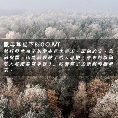 Picture 02 - 撒 母 耳 記 下 8:10 CUVT - 就 打 發 他 兒 子 約 蘭 去 見 大 衛 - Bible Verse Picture