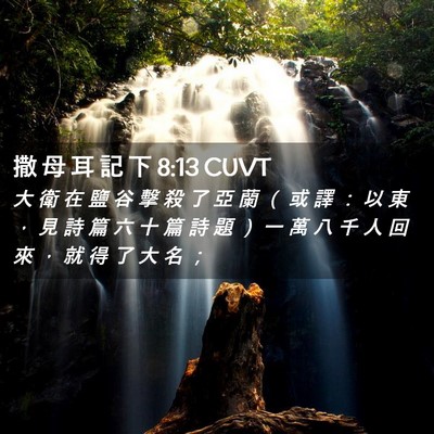 Picture 02 - 撒 母 耳 記 下 8:13 CUVT - 大 衛 在 鹽 谷 擊 殺 了 亞 蘭 （ 或 - Bible Verse Picture