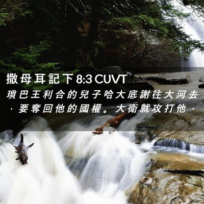 Picture 02 - 撒 母 耳 記 下 8:3 CUVT - 瑣 巴 王 利 合 的 兒 子 哈 大 底 謝 - Bible Verse Picture