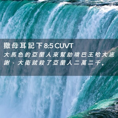 Picture 02 - 撒 母 耳 記 下 8:5 CUVT - 大 馬 色 的 亞 蘭 人 來 幫 助 瑣 巴 - Bible Verse Picture