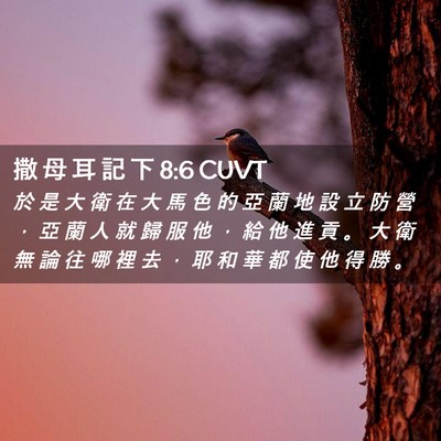 Picture 02 - 撒 母 耳 記 下 8:6 CUVT - 於 是 大 衛 在 大 馬 色 的 亞 蘭 地 - Bible Verse Picture